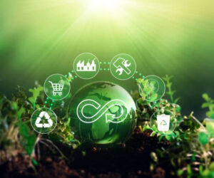 Global Enterprises Embracing the Circular Economy for Sustainable Progress