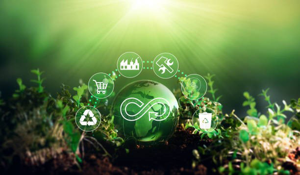 Global Enterprises Embracing the Circular Economy for Sustainable Progress